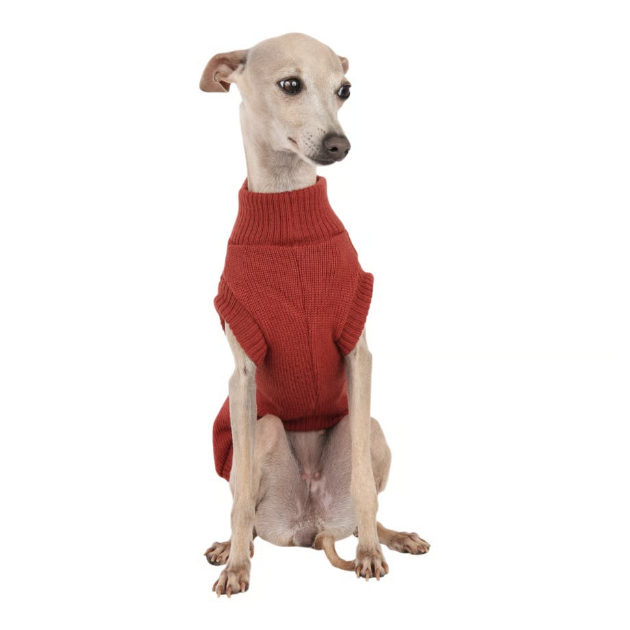 シャーロットドレス Charlotte's Dress Art. 3201 sweater Ted【犬服 ドッグウエア トップス セーター ニット セレブ】