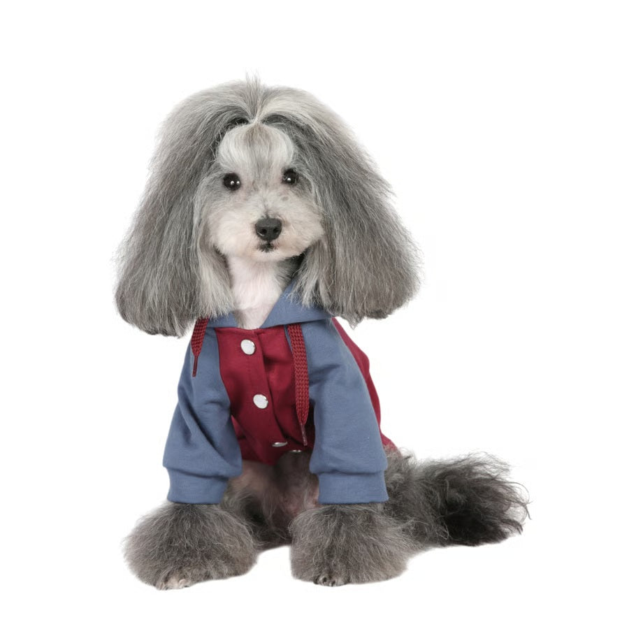 シャーロットドレス Charlotte's Dress Art. 3197 sweatshirt Alex【犬服 ドッグウエア トップス スウェット トレーナー セレブ】