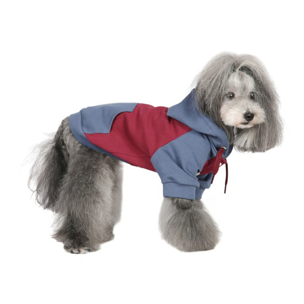 シャーロットドレス Charlotte's Dress Art. 3197 sweatshirt Alex【犬服 ドッグウエア トップス スウェット トレーナー セレブ】