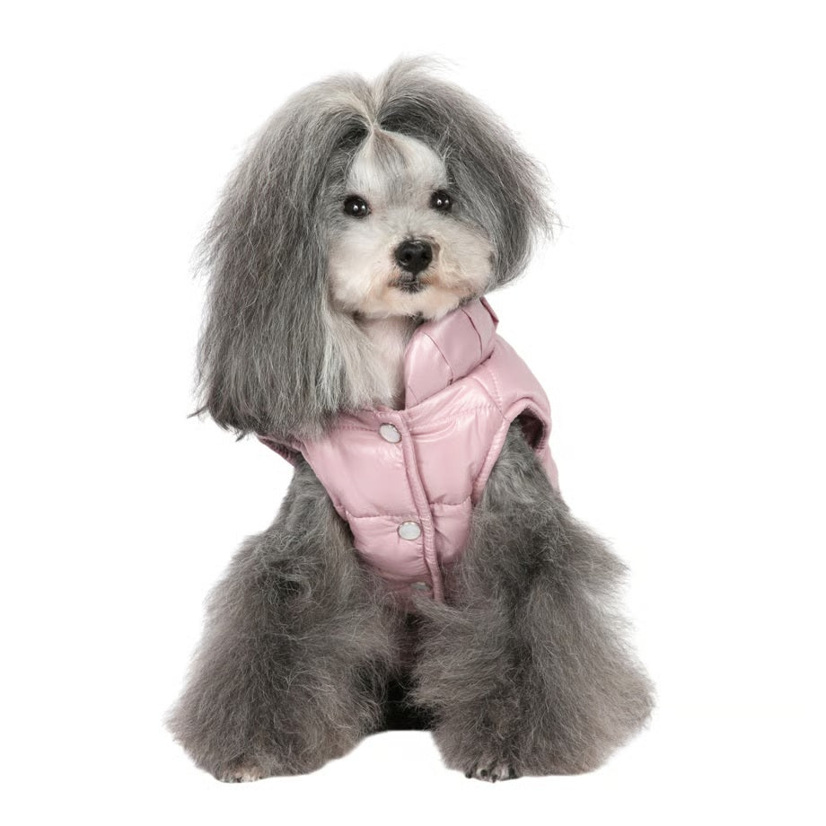 シャーロットドレス Charlotte's Dress Art. 1574 quilted jacket Arielle【犬服 ドッグウエア アウター ダウン コート セレブ】