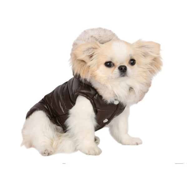 シャーロットドレス Charlotte's Dress Art. 1572 quilted jacket Chocolate【犬服 ドッグウエア アウター ダウン コート セレブ】