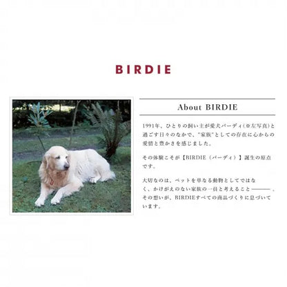 バーディ BIRDIE マルチボーダーカラー(S)【小型犬 ペット 首輪 カラー 迷子防止 カジュアル】