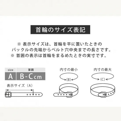 バーディ BIRDIE マルチボーダーカラー(S)【小型犬 ペット 首輪 カラー 迷子防止 カジュアル】