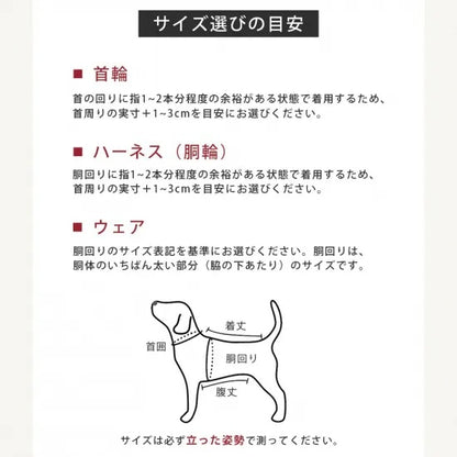 バーディ BIRDIE マルチボーダーカラー(M)【中型犬 ペット 首輪 カラー 迷子防止 カジュアル】