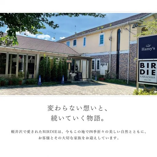 バーディ BIRDIE マルチボーダーカラー(M)【中型犬 ペット 首輪 カラー 迷子防止 カジュアル】