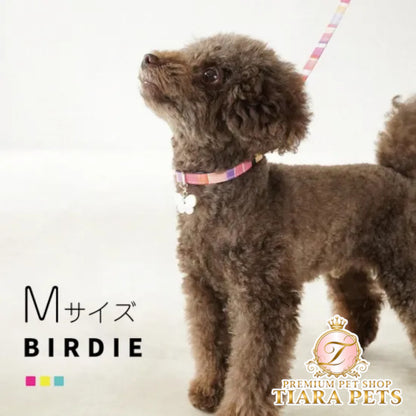 バーディ BIRDIE マルチボーダーカラー(M)【中型犬 ペット 首輪 カラー 迷子防止 カジュアル】