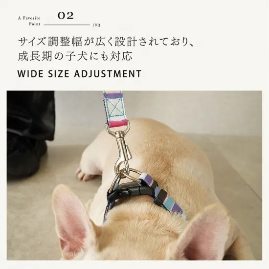 バーディ BIRDIE マルチボーダーカラー(M)【中型犬 ペット 首輪 カラー 迷子防止 カジュアル】