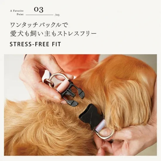 バーディ BIRDIE マルチボーダーカラー(M)【中型犬 ペット 首輪 カラー 迷子防止 カジュアル】