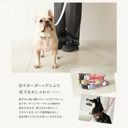 バーディ BIRDIE マルチボーダーカラー(L)【大型犬 ペット 首輪 カラー 迷子防止 カジュアル】