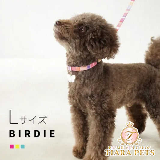 バーディ BIRDIE マルチボーダーカラー(L)【大型犬 ペット 首輪 カラー 迷子防止 カジュアル】