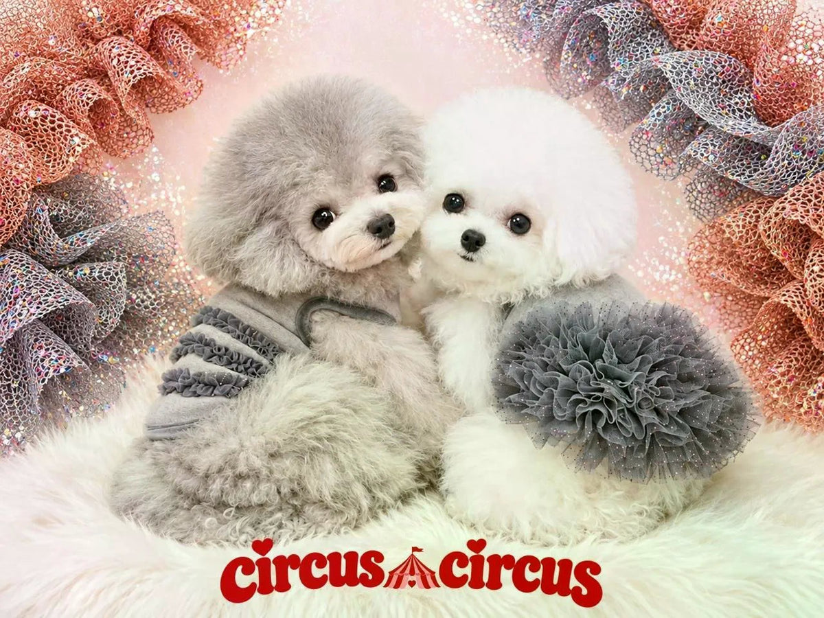 サーカスサーカス circus circus Glittery Frill Warm Tops ワンピース(CCW-0305) XXS～L【小型犬 トップス ワンピース フリル】