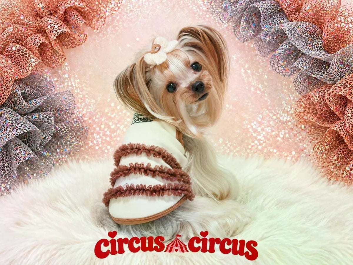 サーカスサーカス circus circus Glittery Frill Warm Tops ワンピース(CCW-0305) XXS～L【小型犬 トップス ワンピース フリル】