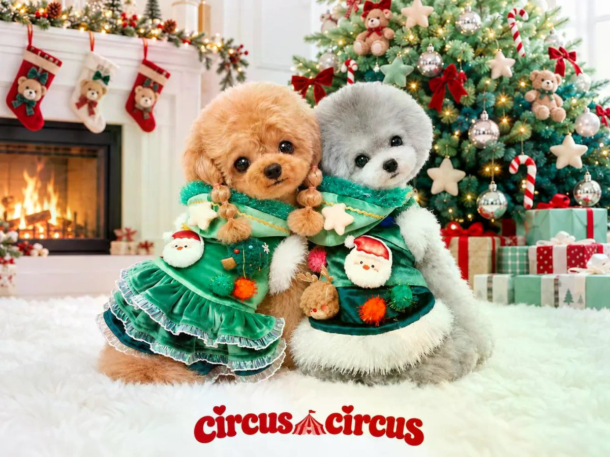 サーカスサーカス circus circus Christmas Party トップス ワンピース(CCW-0302) XXS～L【小型犬 犬 クリスマス パーティトップス ワンピース】