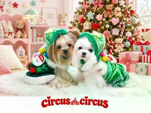 サーカスサーカス circus circus Christmas Party トップス ワンピース(CCW-0302) XXS～L【小型犬 犬 クリスマス パーティトップス ワンピース】