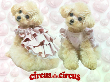 サーカスサーカス circus circus Toy Bear Twinkle Ruffle トップス ワンピース(CCW-0301) XXS～L【小型犬 犬 トップス ワンピース】
