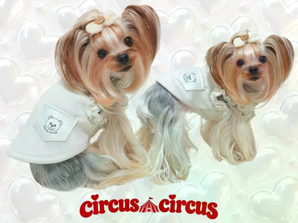 サーカスサーカス circus circus Toy Bear Twinkle Ruffle トップス ワンピース(CCW-0301) XXS～L【小型犬 犬 トップス ワンピース】