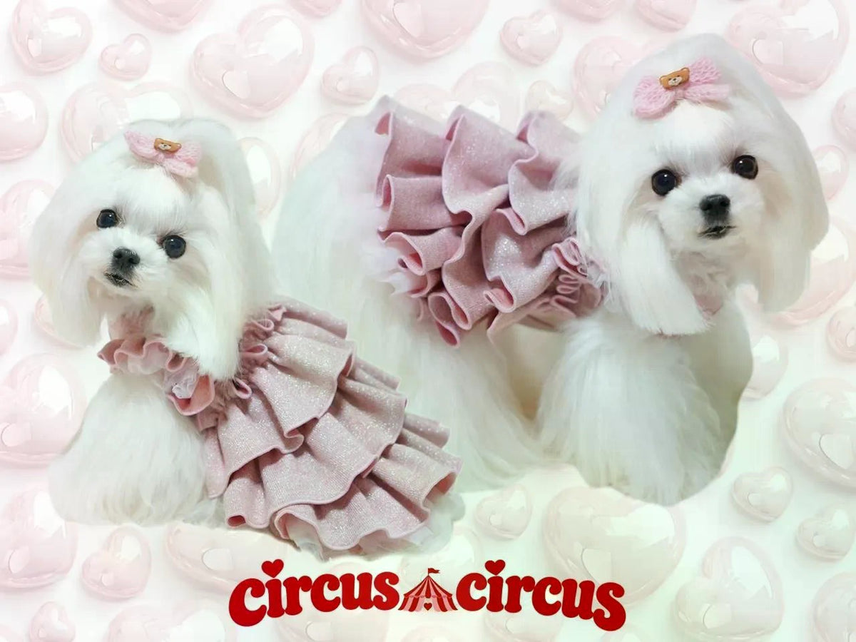 サーカスサーカス circus circus Toy Bear Twinkle Ruffle トップス ワンピース(CCW-0301) XXS～L【小型犬 犬 トップス ワンピース】