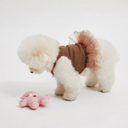 ルイスドッグ louisdog Valentine Cotton Bear【小型犬 犬用 ペット
