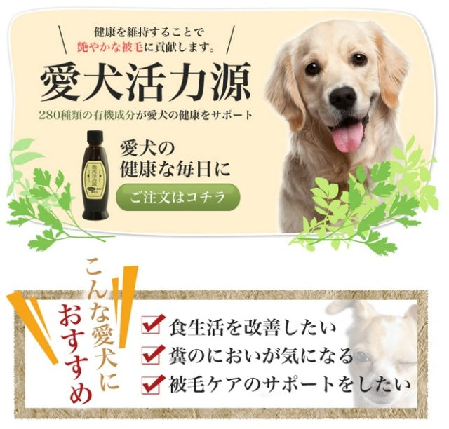 ビッグウッド BIGWOOD 愛犬活力源 100ml【犬用 サプリメント 腸内 被毛 栄養】