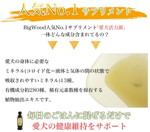 ビッグウッド BIGWOOD 愛犬活力源 100ml【犬用 サプリメント 腸内 被毛 栄養】