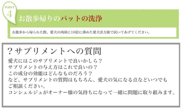 ビッグウッド BIGWOOD 愛犬活力源 100ml【犬用 サプリメント 腸内 被毛 栄養】