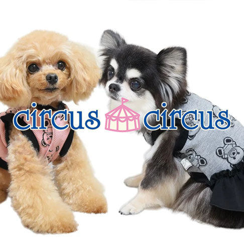 circus circus