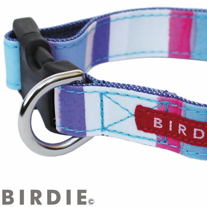 バーディ BIRDIE ワンタッチマルチボーダーカラー(SS)【超小型犬/ ペット 首輪 カジュアル カラー】