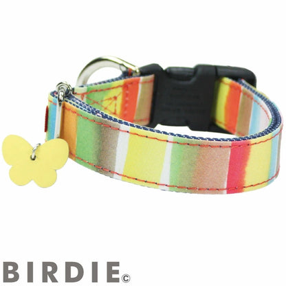バーディ BIRDIE ワンタッチマルチボーダーカラー(SS)【超小型犬/ ペット 首輪 カジュアル カラー】