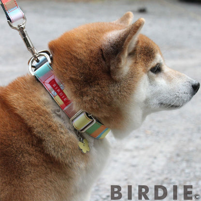 バーディ BIRDIE ワンタッチマルチボーダーカラー(SS)【超小型犬/ ペット 首輪 カジュアル カラー】