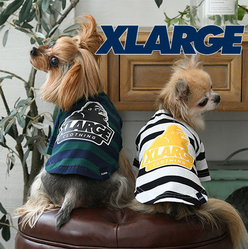 XLARGE