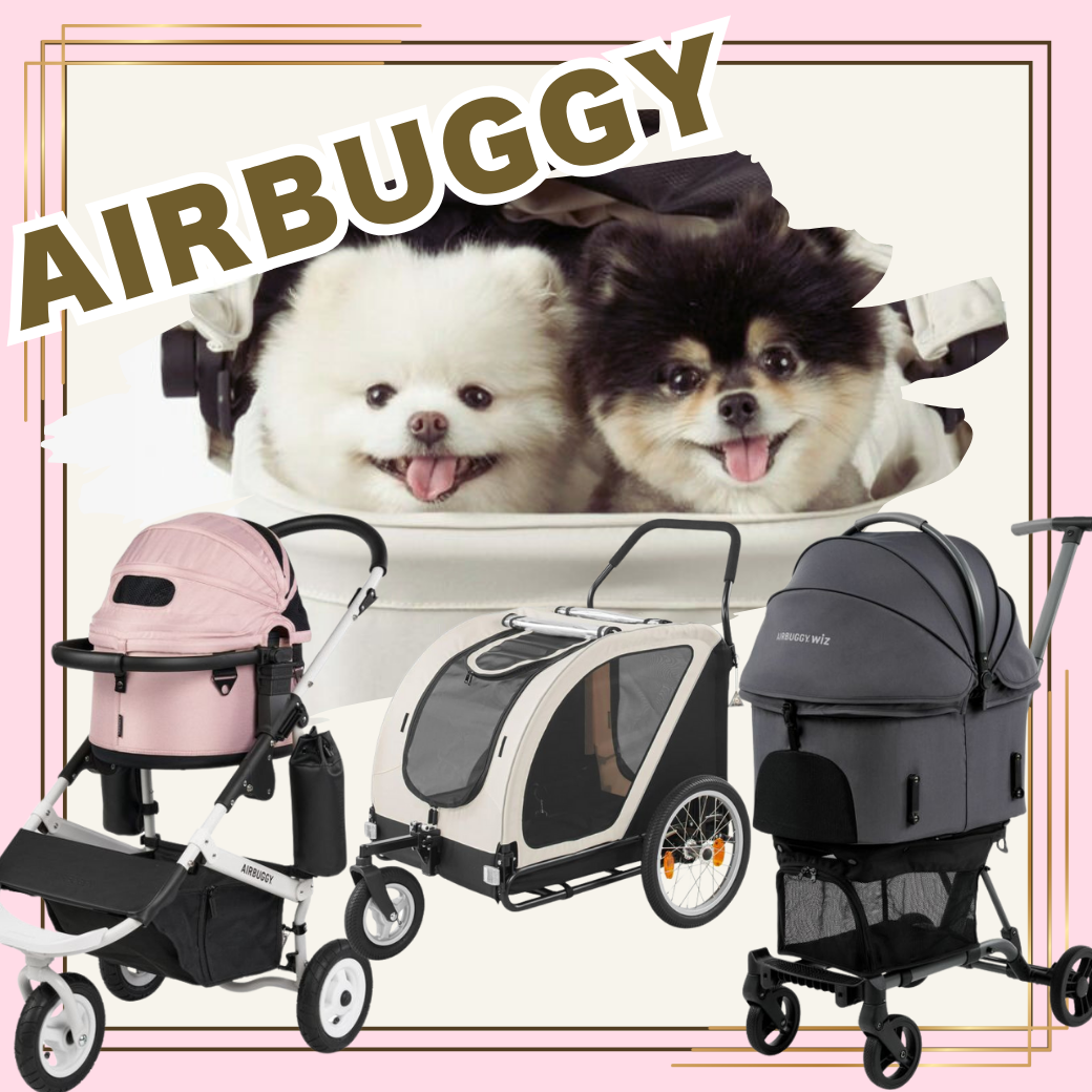 AirBuggy エアバギー