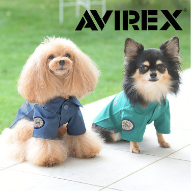 AVIREX