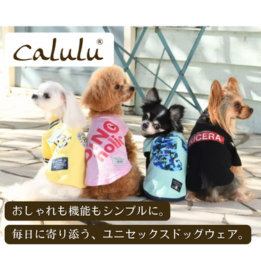 Calulu