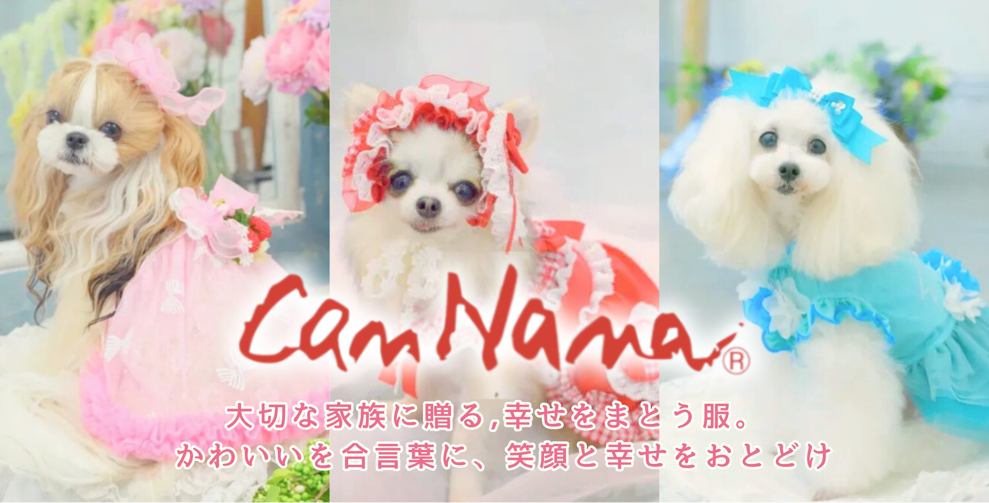 ハンドメイド犬服 ティアラママ様オーダー ティアラママ様☆犬服 ハンドメイド犬服 ティアラママ様オーダー ティアラママ様☆犬服