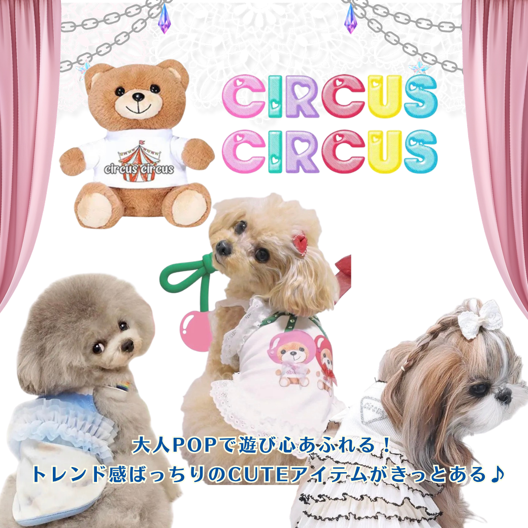 circus circus