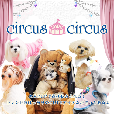 circus circus