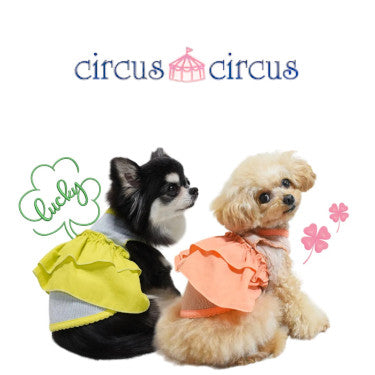 circus circus