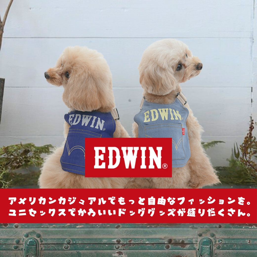 EDWIN