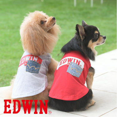 EDWIN