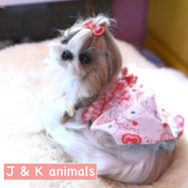 J&K animals