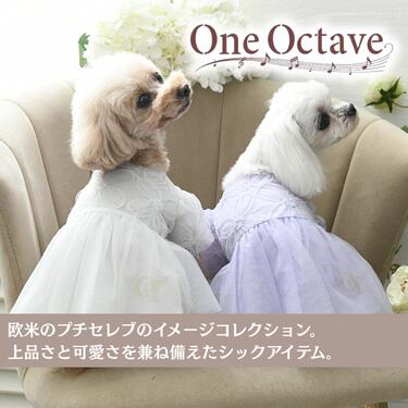 One Octave