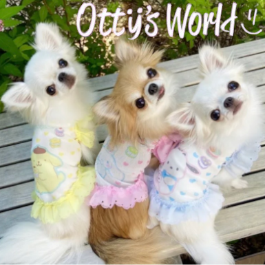 Otto