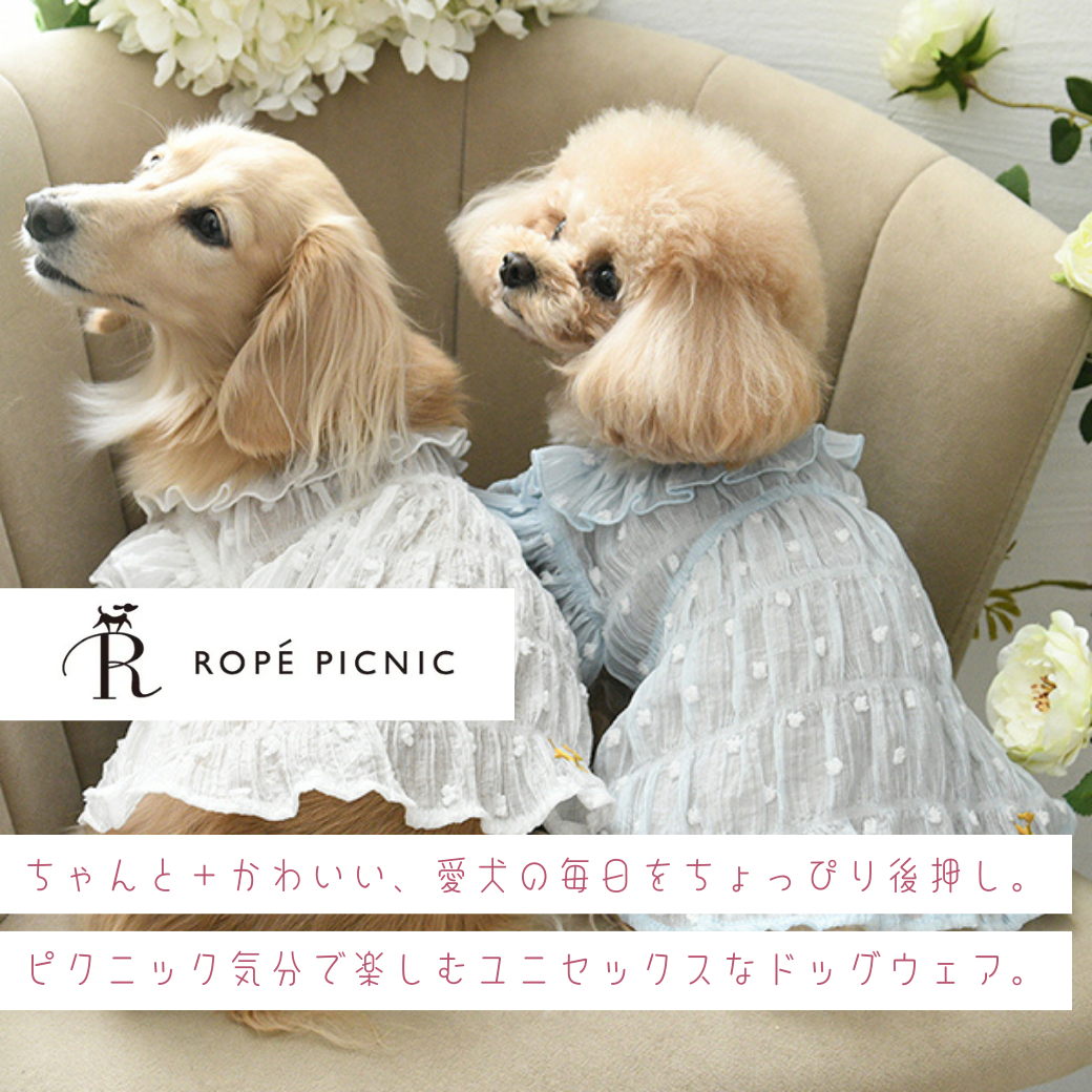 ROPE' PICNIC