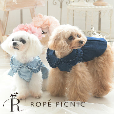 ROPE' PICNIC