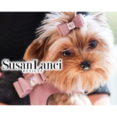 Susan Lanci Design