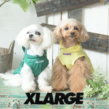 XLARGE