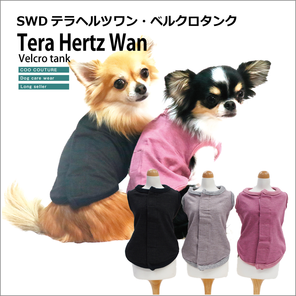 【新品】テラヘルツの犬服